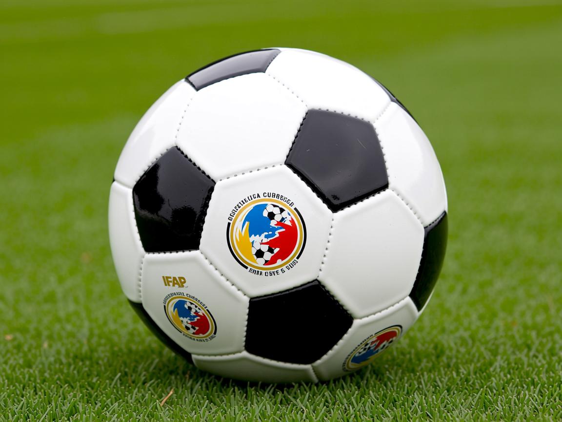 开云在线入口-亚洲杯国足战平 球迷理性分析比赛，亚洲杯中国足球队最新战况  第3张